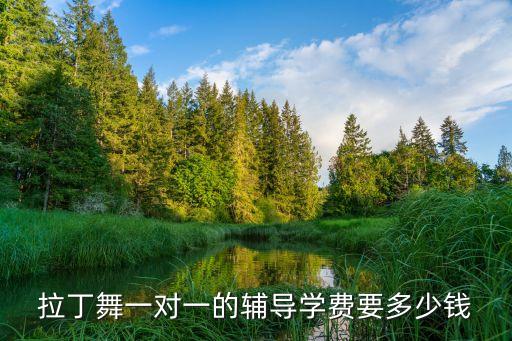 中山舞蹈一对一如何收费标准，请问报跳舞方面的补习班学费是怎么算的啊