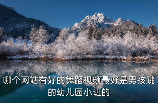 哪个网站有好的舞蹈视频最好是男孩跳的幼儿园小班的