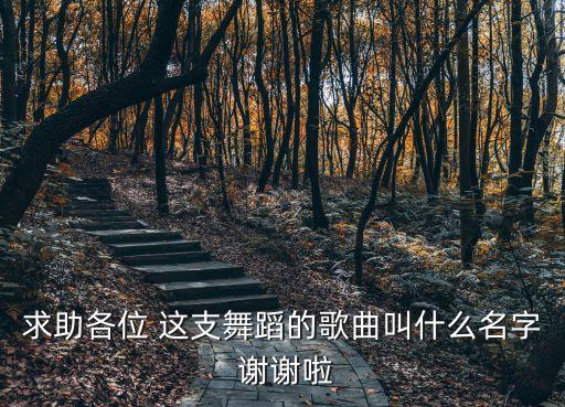 求助各位 这支舞蹈的歌曲叫什么名字 谢谢啦