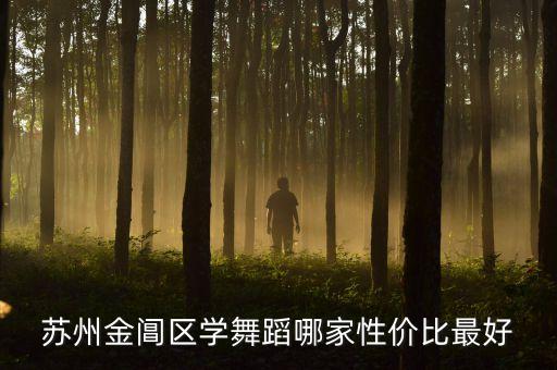 苏州金阊区学舞蹈哪家性价比最好