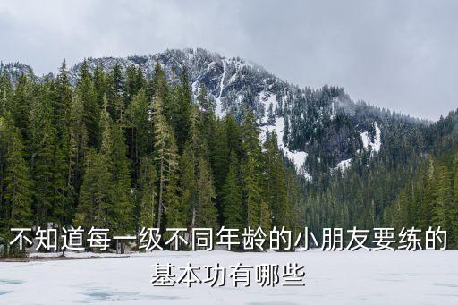 舞蹈基本功二级有哪些，不知道每一级不同年龄的小朋友要练的基本功有哪些