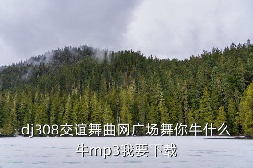 dj308交谊舞曲网广场舞你牛什么牛mp3我要下载