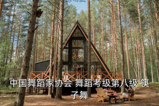 舞蹈考级8级有什么舞蹈，中国舞蹈家协会 舞蹈考级第八级 筷子舞
