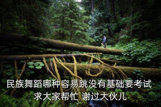 民族舞哪个最好跳，什么民族舞又好跳又好看