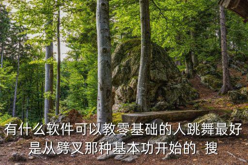 学跳舞一步一步教的软件，有没有教人学舞蹈的软件