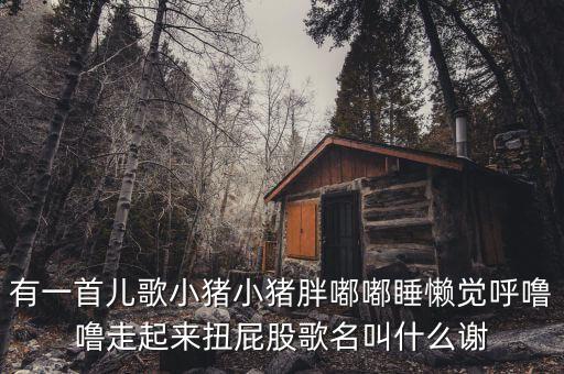 考级舞蹈小城谣歌曲，有一首儿歌小猪小猪胖嘟嘟睡懒觉呼噜噜走起来扭屁股歌名叫什么谢