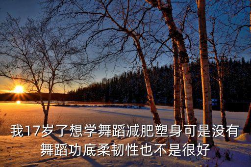 我17岁了想学舞蹈减肥塑身可是没有舞蹈功底柔韧性也不是很好