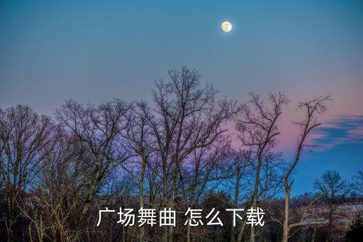 广场舞曲 怎么下载