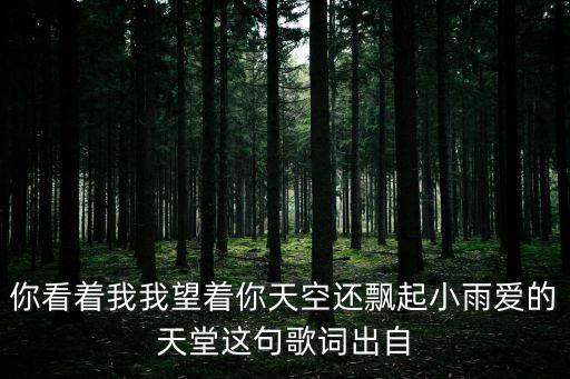 你看着我我望着你天空还飘起小雨爱的天堂这句歌词出自