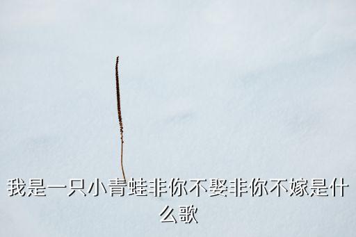 dj非你不娶 非我不嫁是什么歌，我是一只小青蛙非你不娶非你不嫁是什么歌