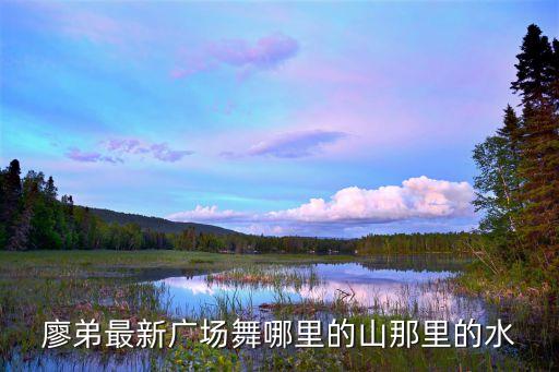 廖弟最新广场舞哪里的山那里的水