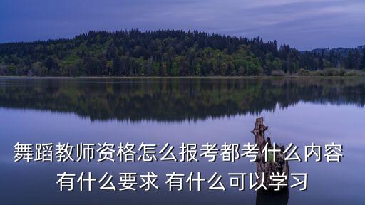 舞蹈教师资格怎么报考都考什么内容 有什么要求 有什么可以学习
