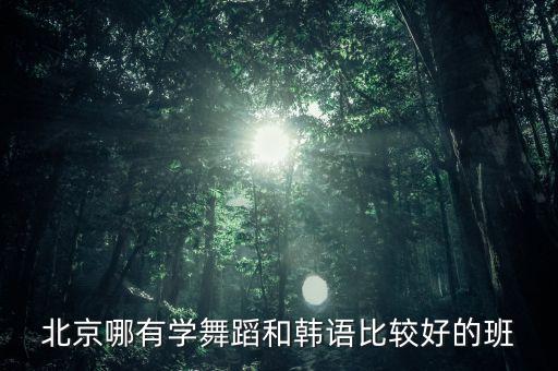 新疆舞北京哪里可以学，北京舞蹈学院有周六日可以进修的舞蹈班吗我想进修民族舞蹈但