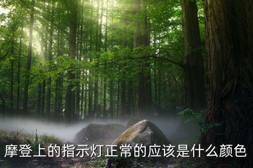 摩登上的指示灯正常的应该是什么颜色