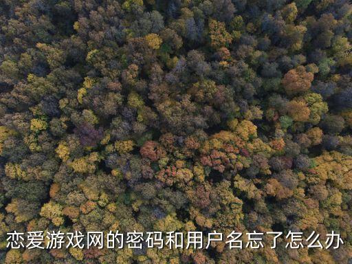 恋爱游戏网的密码和用户名忘了怎么办