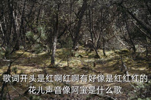 歌词开头是红啊红啊有好像是红红红的花儿声音像阿宝是什么歌