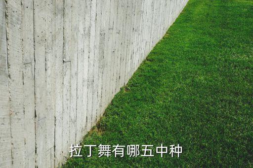 拉丁舞有哪五中种