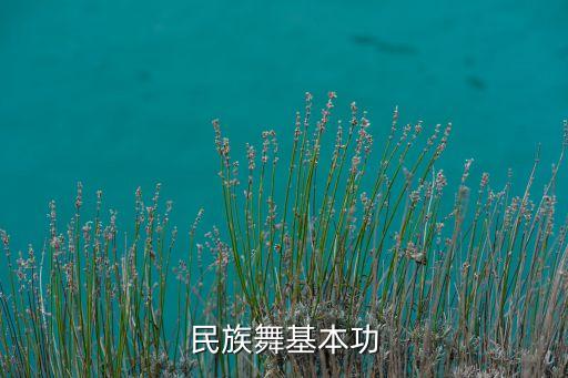 民族舞基本功