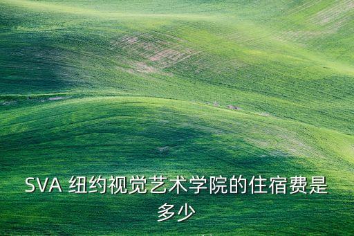 纽约视觉艺术学校学费，请问纽约视觉艺术学院的学费多少我是艺术类专科生怎么才能上