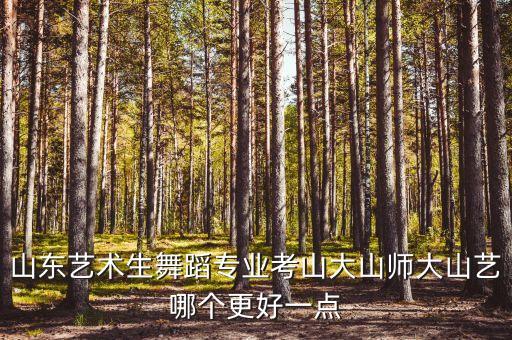 山东艺术生舞蹈专业考山大山师大山艺哪个更好一点