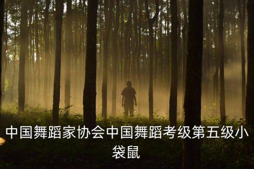 五级有什么舞蹈，劲舞5级叫什么名字