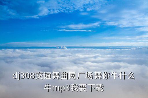 dj308交谊舞曲网广场舞你牛什么牛mp3我要下载