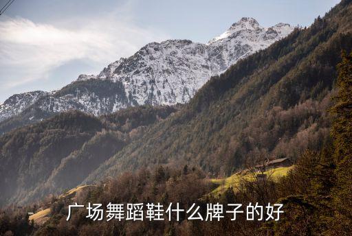 广场舞蹈鞋什么牌子的好