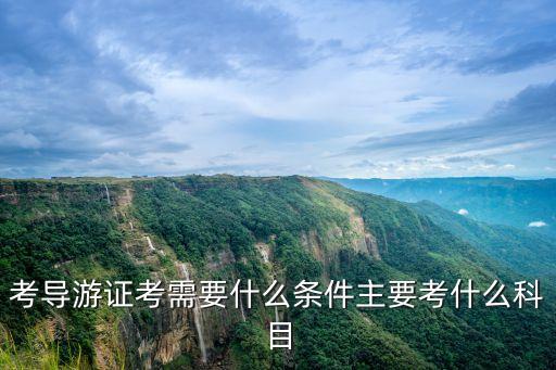 考导游证考需要什么条件主要考什么科目