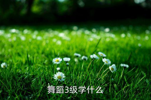 舞蹈3级学什么