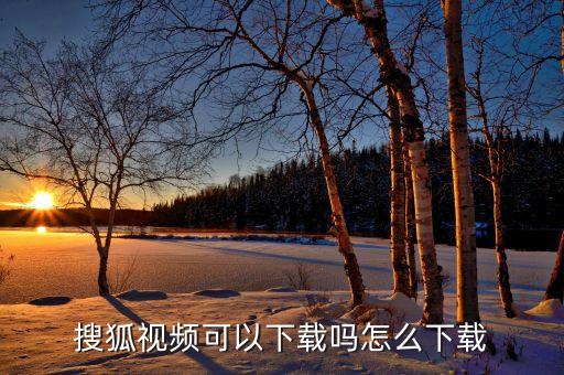 免费下载搜狐视频比基尼，搜狐视频可以下载吗怎么下载