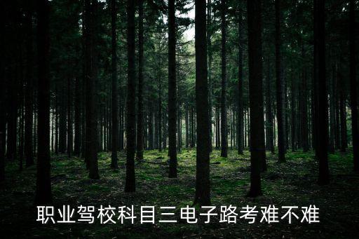 职业驾校科目三电子路考难不难