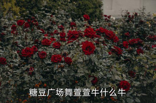糖豆广场舞萱萱牛什么牛