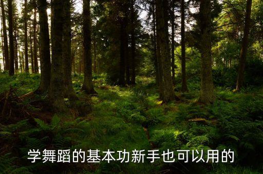 初步学跳舞的基本动作视频，怎么学跳舞广场舞