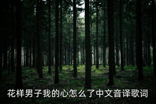你的心怎么了舞曲，韩版花样男子插曲和是谁唱的