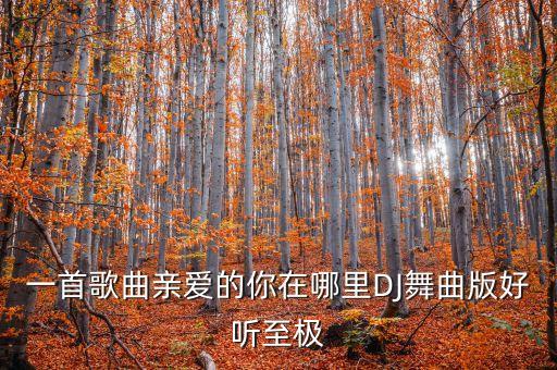 一首歌曲亲爱的你在哪里DJ舞曲版好听至极