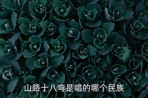 山路十八弯是唱的哪个民族