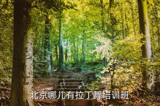 北京少儿拉丁舞学校有哪些，北京哪有少儿拉丁考级班呀想让孩子试试