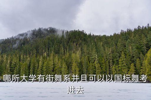 哪所大学有街舞系并且可以以国标舞考进去