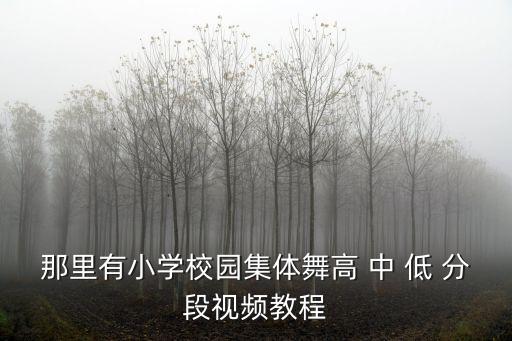 那里有小学校园集体舞高 中 低 分段视频教程