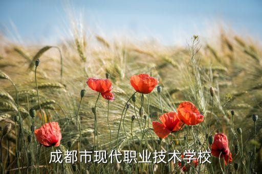 成都市现代职业技术学校