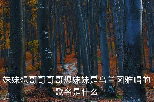 妹妹想哥哥哥哥想妹妹是乌兰图雅唱的歌名是什么
