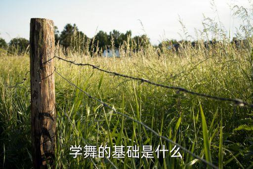 学舞的基础是什么