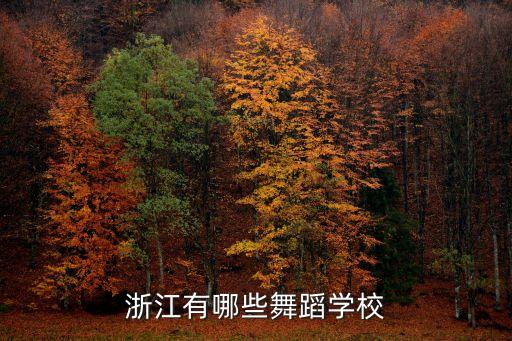 浙江有哪些舞蹈学校