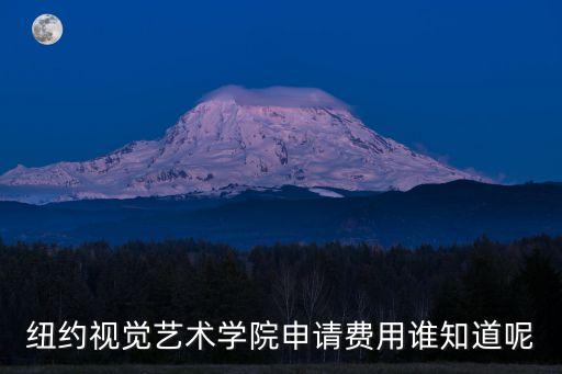 纽约视觉艺术学院申请费用谁知道呢