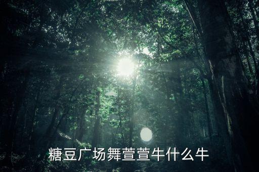广场舞舞曲牛什么牛，糖豆广场舞萱萱牛什么牛