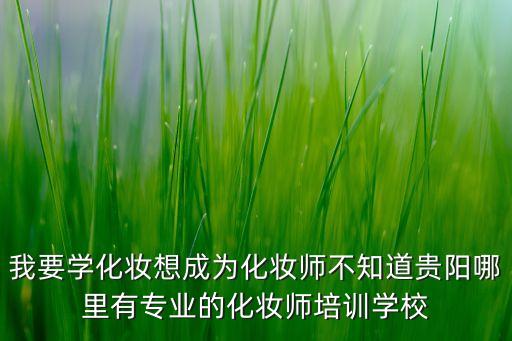 我要学化妆想成为化妆师不知道贵阳哪里有专业的化妆师培训学校