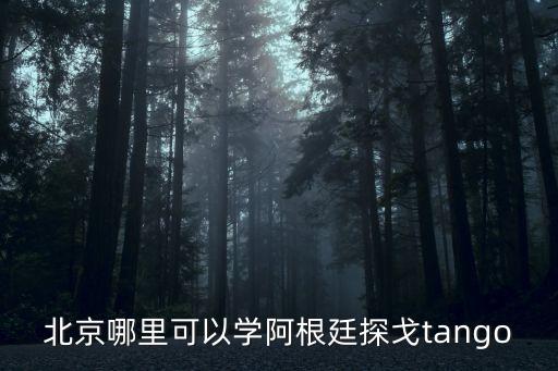 北京哪里可以学阿根廷探戈tango