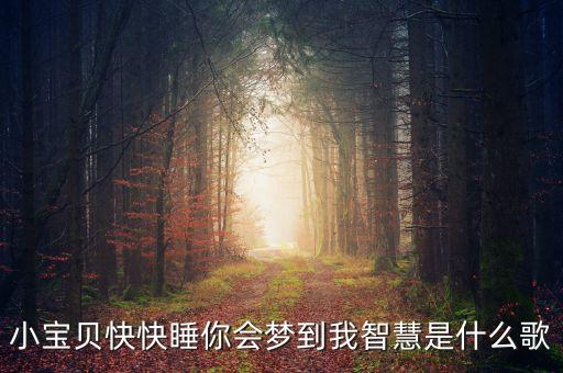 笑春风广场舞24步是什么歌曲，小宝贝快快睡你会梦到我智慧是什么歌
