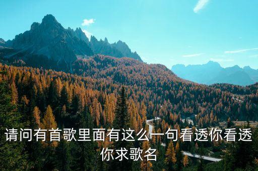请问有首歌里面有这么一句看透你看透你求歌名