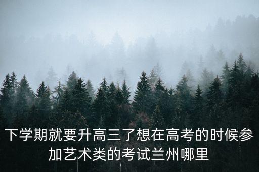 下学期就要升高三了想在高考的时候参加艺术类的考试兰州哪里